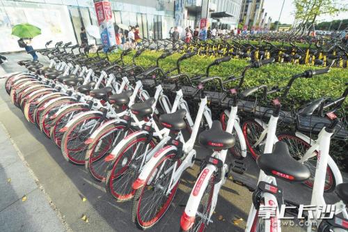 昨日下午，在開(kāi)福區(qū)萬(wàn)達(dá)廣場(chǎng)，成片的共享單車停放在廣場(chǎng)前坪。 長(zhǎng)沙晚報(bào)記者 黃啟晴 攝