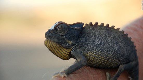 地獄之門(mén)里住著魔鬼般的女人