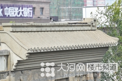 鄭州花園路“飛機(jī)樓”也要拆？去留引發(fā)關(guān)注