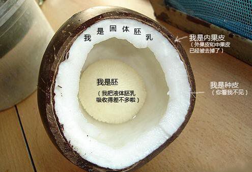 你在甜品店常吃的東西，到底都是啥？