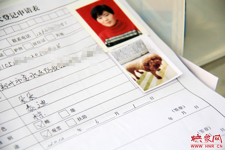 辦理狗證，需要填寫申請表