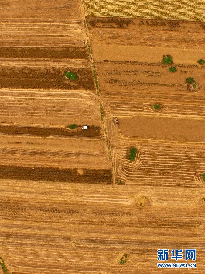 這是5月28日在河南省南陽(yáng)市唐河縣甘河灣村航拍的麥?zhǔn)宅F(xiàn)場(chǎng)。