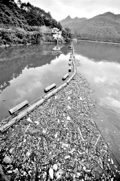 7月7日，廣西賀州市賀江合面獅段被污染的水域。據(jù)新華社