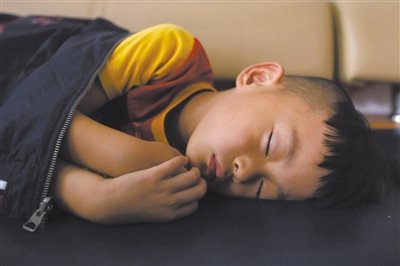 9月6日，等待錄制節(jié)目的多多躺在沙發(fā)上熟睡。新京報(bào)記者 侯少卿 攝