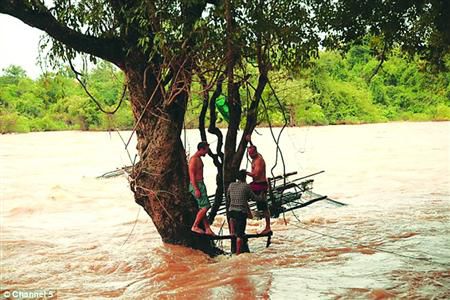 蓋屋、種菜，“從沒(méi)這樣快樂(lè)”