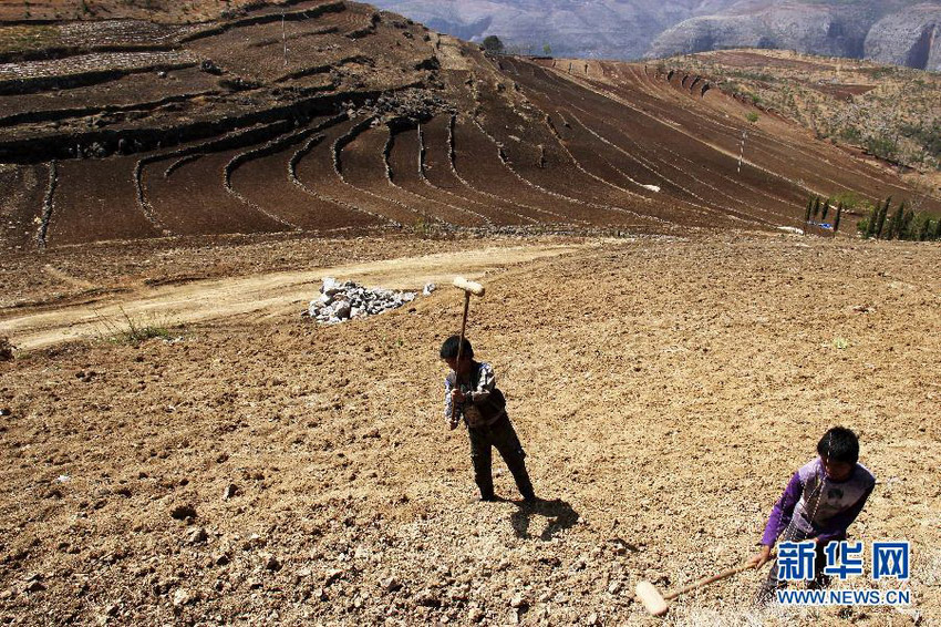 3月16日，在貴州省畢節(jié)市威寧縣斗古鄉(xiāng)中關(guān)村，兩個(gè)孩子幫助家人在干旱的土地上勞動(dòng)。