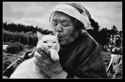 啵啵 祖母與貓的溫情世界 啵啵 祖母與貓的溫情世界