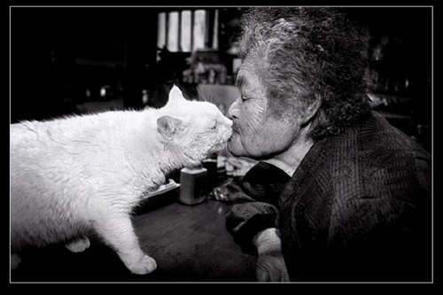 親親 祖母與貓的溫情世界 親親 祖母與貓的溫情世界