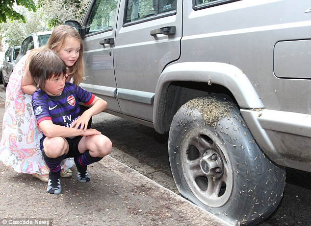英街區(qū)遭毛蟲"入侵" 英街區(qū)遭毛蟲"入侵"