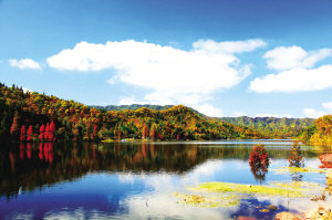 初冬游重慶石柱 90元玩遍四大景區(qū) 初冬游重慶石柱 90元玩遍四大景區(qū)