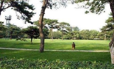 釣魚(yú)臺(tái)國(guó)賓館草坪 釣魚(yú)臺(tái)國(guó)賓館草坪