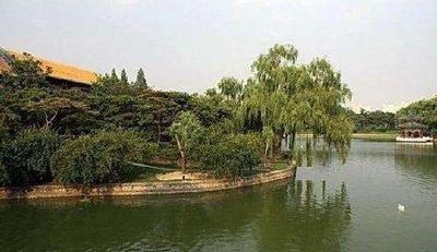 釣魚(yú)臺(tái)國(guó)賓館垂柳 釣魚(yú)臺(tái)國(guó)賓館垂柳