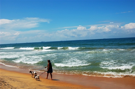 超唯美2014年旅行風(fēng)景日歷 超唯美2014年旅行風(fēng)景日歷