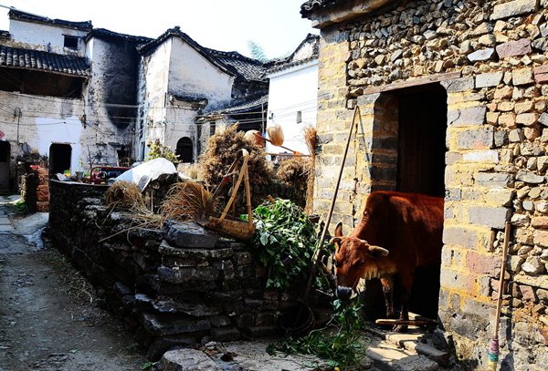 10大古村落，見證鶴壁舊時光