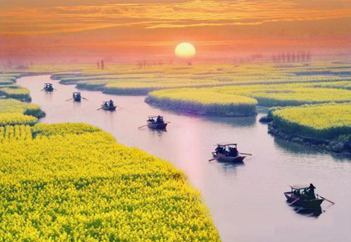 如何拍攝油菜花？達人教你7個拍攝技巧