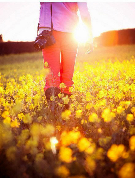 如何拍攝油菜花？達人教你7個拍攝技巧