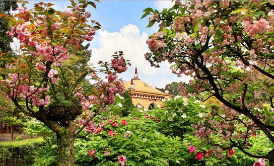 麻辣冬日二三五，芳菲三月看峨眉