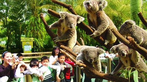 端午巧遇六一 五大主題親子游或成最佳選擇 端午巧遇六一 五大主題親子游或成最佳選擇