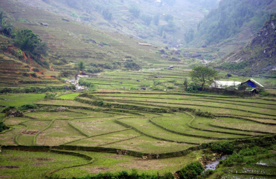 越南簽證費下調(diào) 快去感受東南亞風情 越南簽證費下調(diào) 快去感受東南亞風情