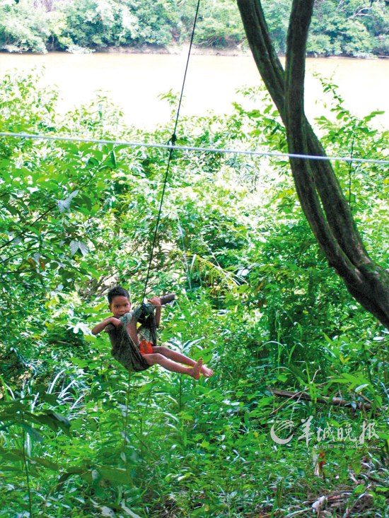 馬來西亞勇探原始森林 朝拜存活百萬年森林 馬來西亞勇探原始森林 朝拜存活百萬年森林