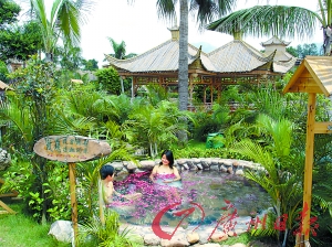 溫泉區(qū)樹木蔥蔥。