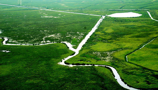 樂(lè)享綠色夏日 濕地公園生態(tài)親水之旅