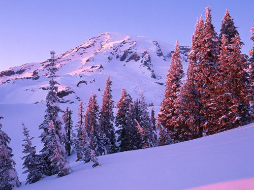 華盛頓，雷尼爾山