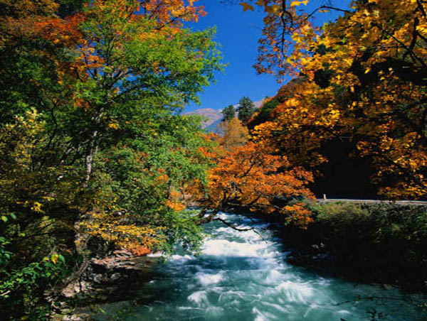 長(zhǎng)白山豐林保護(hù)區(qū) 長(zhǎng)白山豐林保護(hù)區(qū)