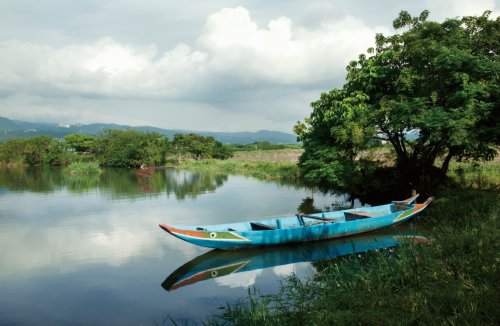 關(guān)渡賞鳥趣樂(lè)繽紛 關(guān)渡賞鳥趣樂(lè)繽紛