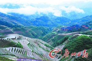 　　龍勝梯田大氣而立體。