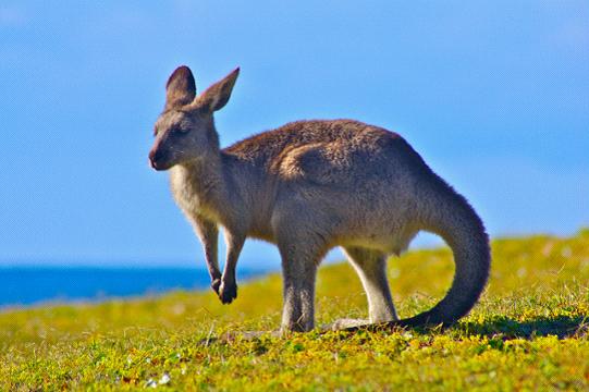 全家出國游去哪里？推薦十佳旅游勝地