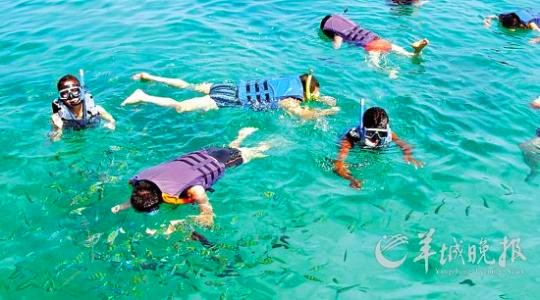 [旅游貼士]浮潛危險(xiǎn)多馬虎招意外 附加配備保安全