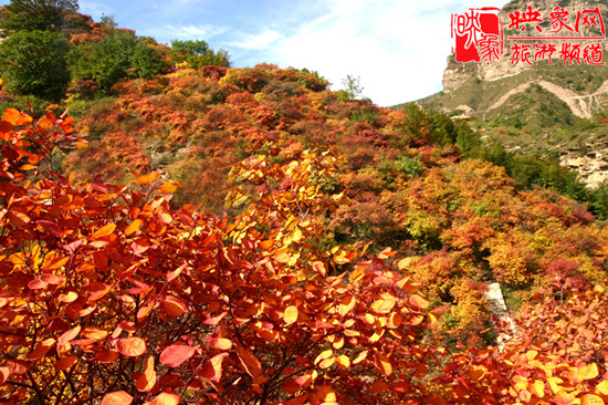 2013第七屆中國·邢臺(tái)九龍峽金秋紅葉節(jié) 2013第七屆中國·邢臺(tái)九龍峽金秋紅葉節(jié)