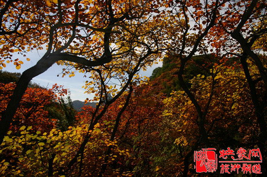 2013第七屆中國·邢臺(tái)九龍峽金秋紅葉節(jié) 2013第七屆中國·邢臺(tái)九龍峽金秋紅葉節(jié)
