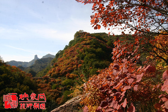2013第七屆中國·邢臺(tái)九龍峽金秋紅葉節(jié) 2013第七屆中國·邢臺(tái)九龍峽金秋紅葉節(jié)