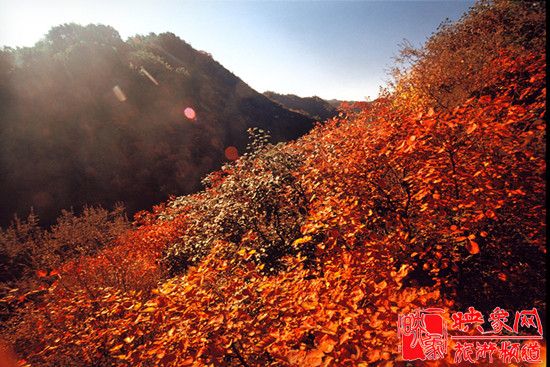 2013第七屆中國·邢臺(tái)九龍峽金秋紅葉節(jié) 2013第七屆中國·邢臺(tái)九龍峽金秋紅葉節(jié)