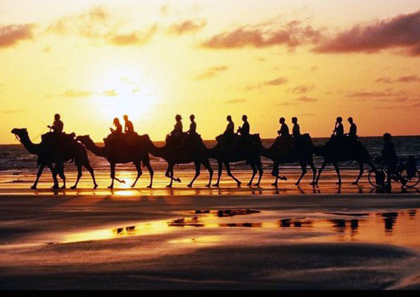 重走絲綢之路 20輛歐洲老爺車跨6國(guó)抵達(dá)古都洛陽(yáng) 重走絲綢之路 20輛歐洲老爺車跨6國(guó)抵達(dá)古都洛陽(yáng)