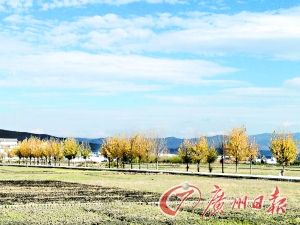 　　大理洱海湖畔美麗的鄉(xiāng)村景色。