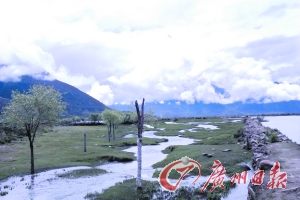 小路的一側(cè)是小溪,另一側(cè)是河流。