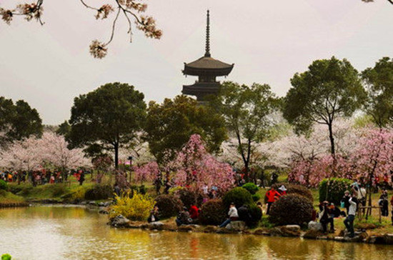 女人如花 隨侍甄嬛娘娘賞花去 女人如花 隨侍甄嬛娘娘賞花去