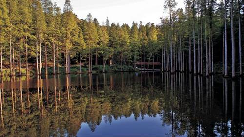 金秋時(shí)節(jié) 到信陽雞公山享受慢旅游生活 金秋時(shí)節(jié) 到信陽雞公山享受慢旅游生活