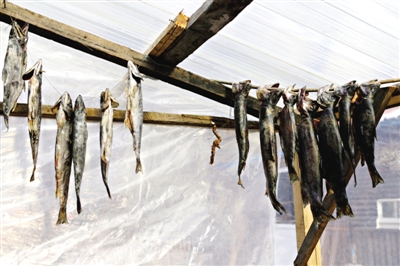 長白山腳下一家小餐館內晾曬的冷水魚。