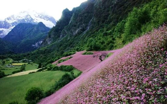 云南的另一個天堂 我約你一起去！