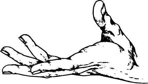 　時間：拿到通知書，未報到就可申請