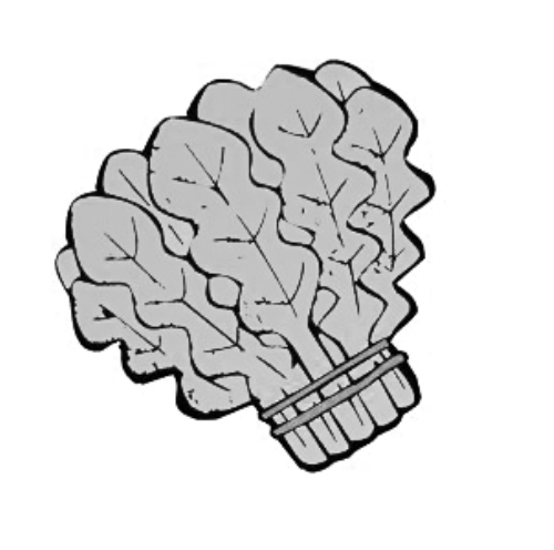 雪后菜價(jià)瘋漲15倍？沒恁夸張 元旦豬肉雞蛋或漲價(jià)