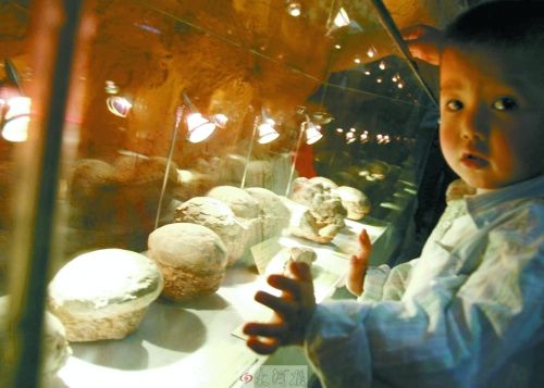 恐龍蛋，這回見識(shí)了吧！