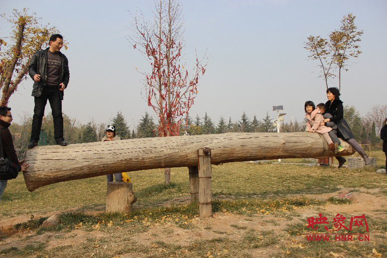 巨大的蹺蹺板，一棵樹。。?？赐娴亩噜? oldsrc=