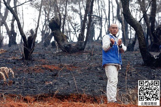 山林被燒得滿目瘡痍。