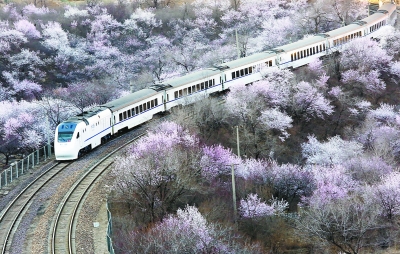 居庸關(guān)花海 居庸關(guān)花海