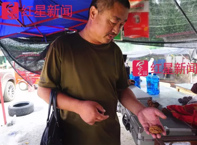 文玩核桃遇冷由幾萬一對降到5元沒人要？商戶否認